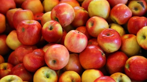 How Is Organic Cider Vinegar Made?